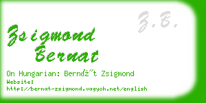 zsigmond bernat business card